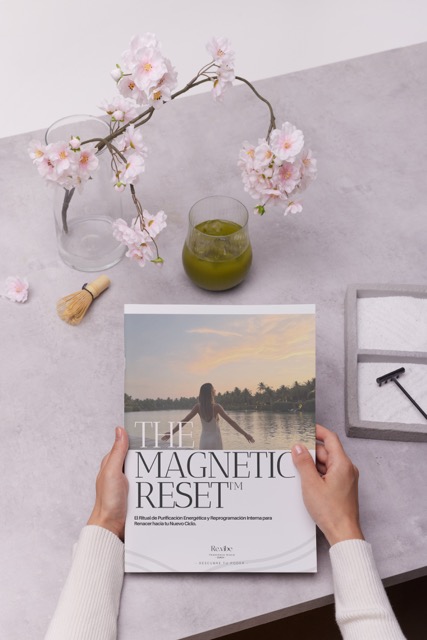 The Magnetic Reset — experiencia de uso