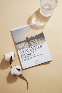 The Magnetic Reset — workbook