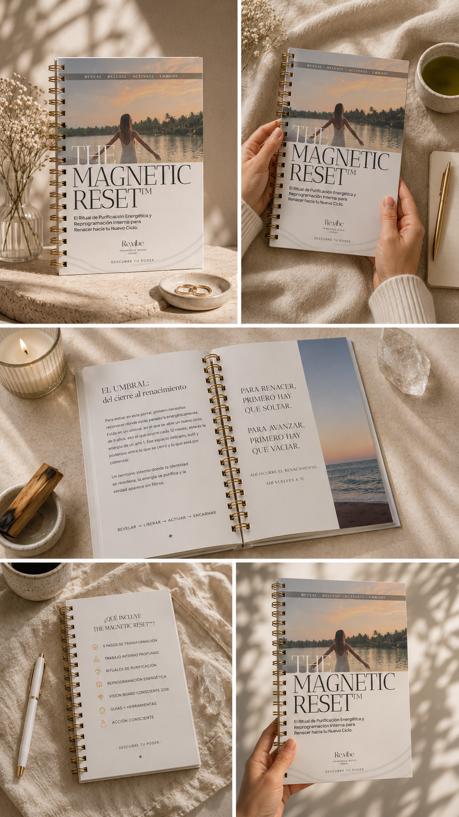 The Magnetic Reset — workbook y materiales