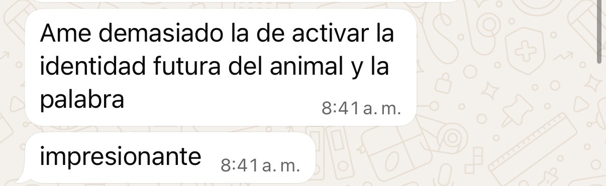Testimonio WhatsApp